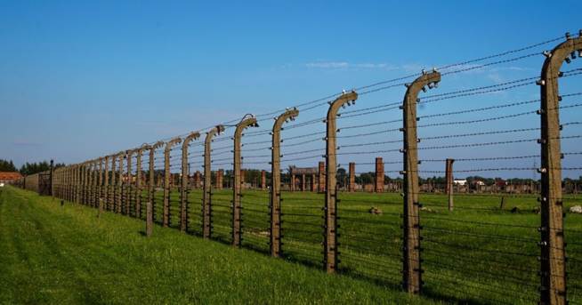 closest fence company to me
